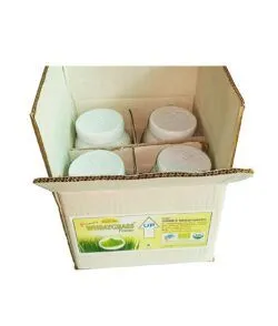 Wheatgrass Powder 100g Bottle – Pack of 4